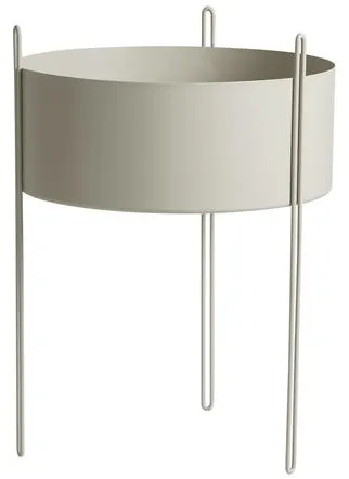 Woud Pidestall Krukväxt Stor Grå